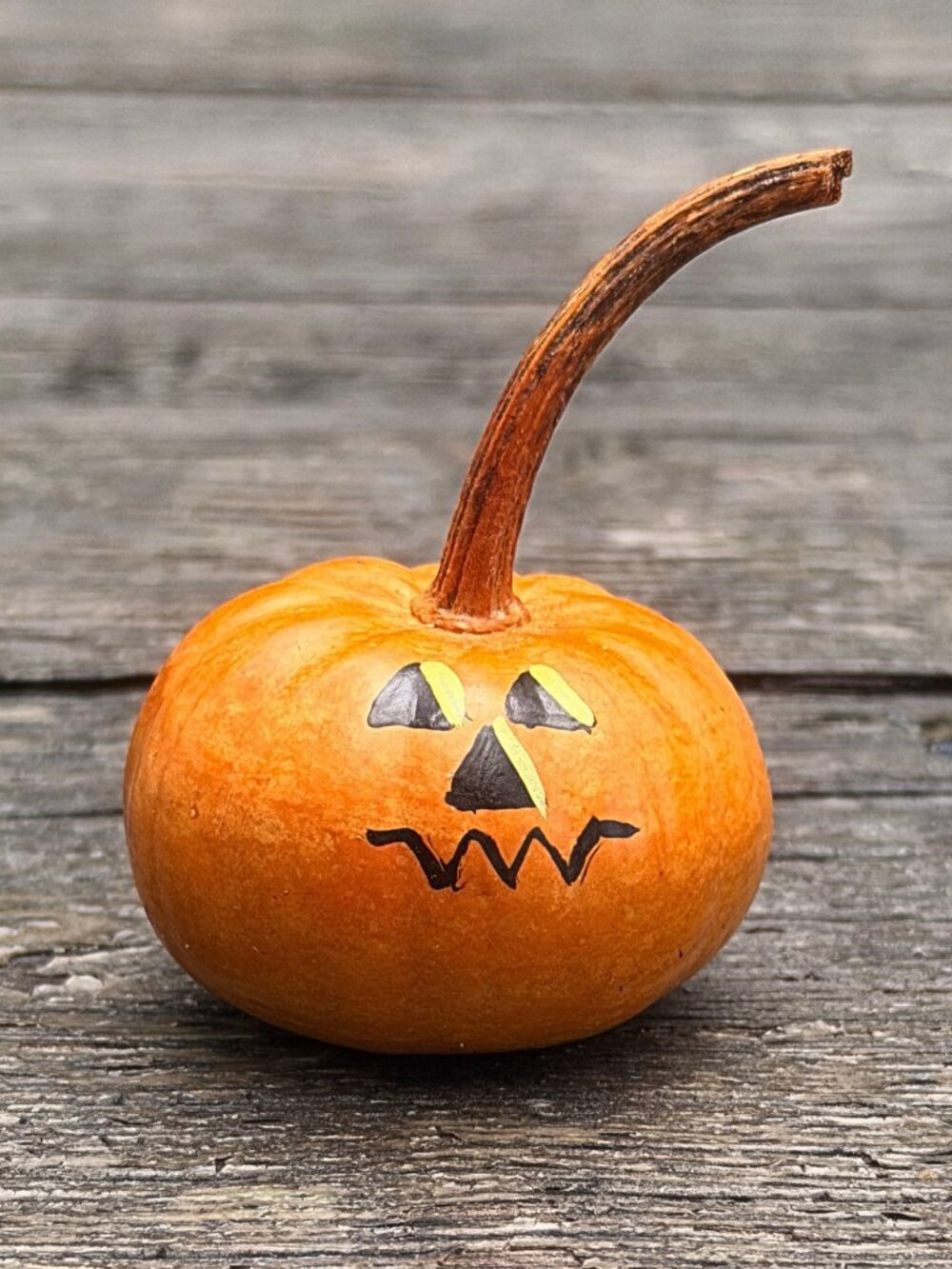 Miniature 2001 Artist Signed Mini Hand Painted Halloween Pumpkin Gourd Folk Art